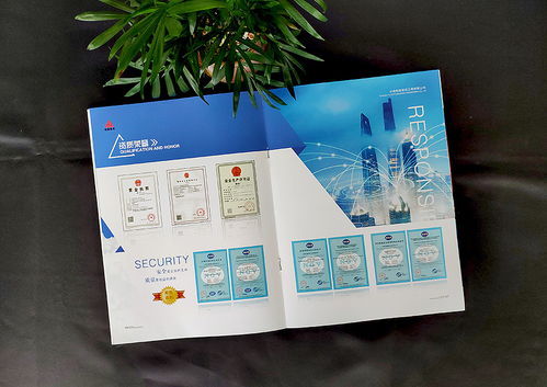 企业形象的艺术展现 昆明企业宣传画册与产品手册的定制设计之道